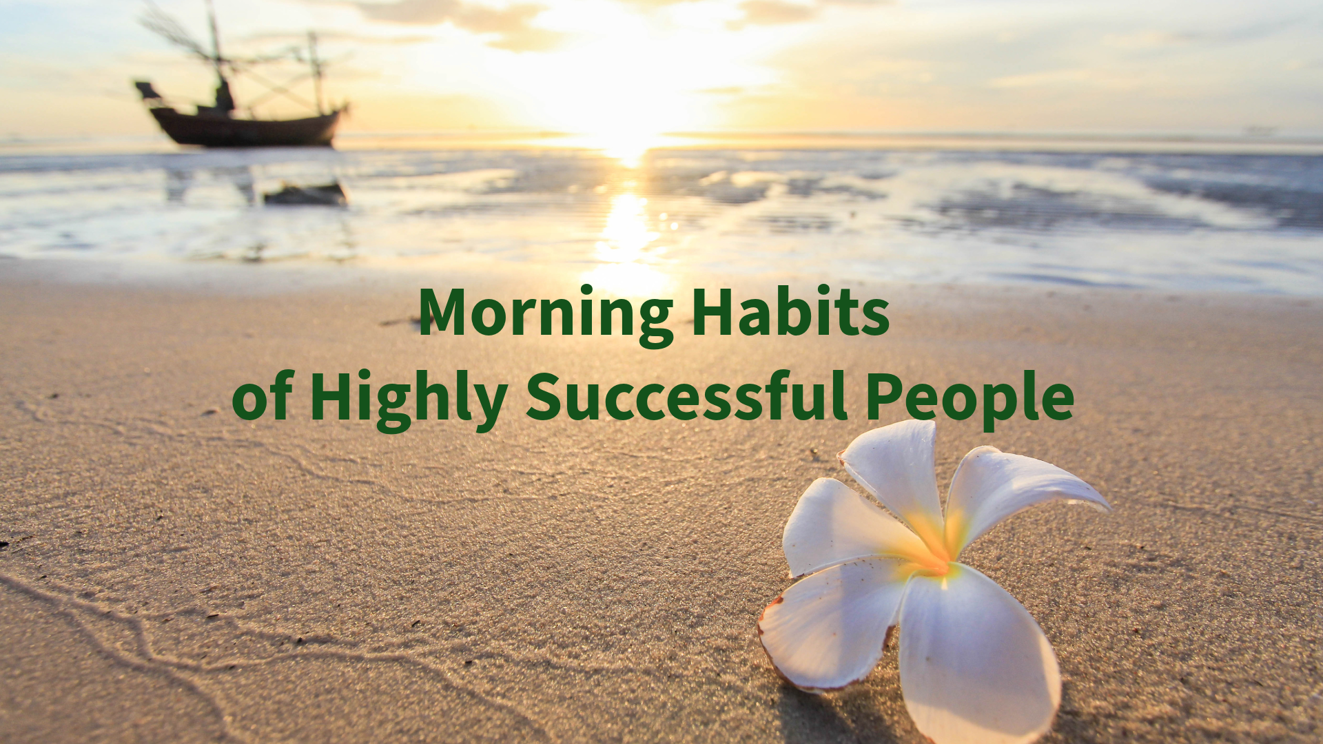 Morning Habits of Highly Successful People